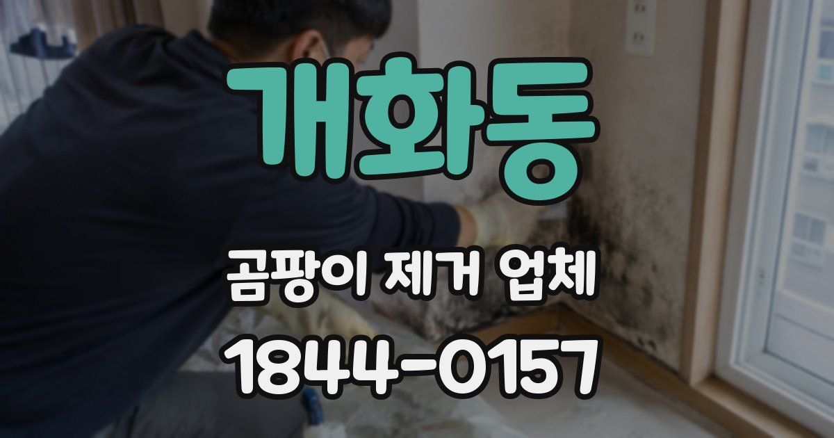 개화동 곰팡이 제거 업체