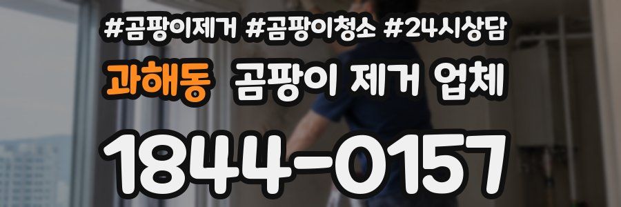 과해동 곰팡이 제거 업체
