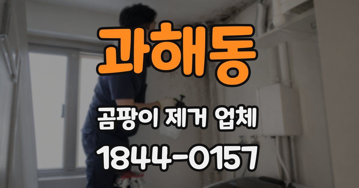 과해동 곰팡이 제거 업체