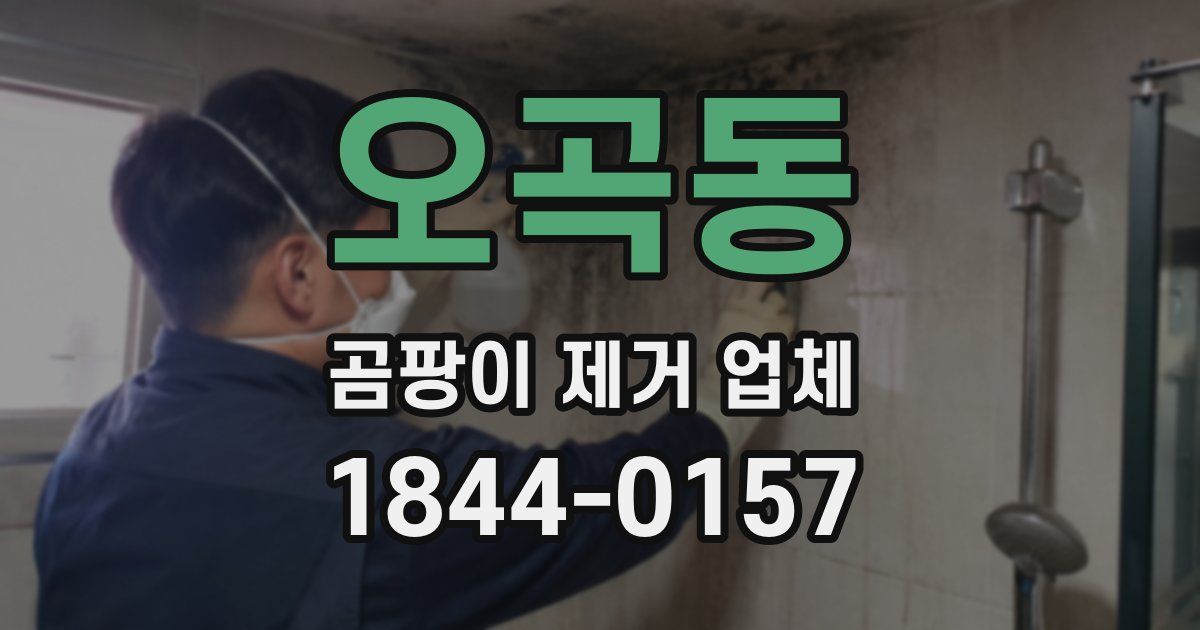 오곡동 곰팡이 제거 업체