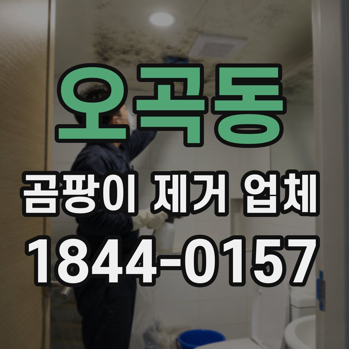 오곡동 곰팡이 제거 업체
