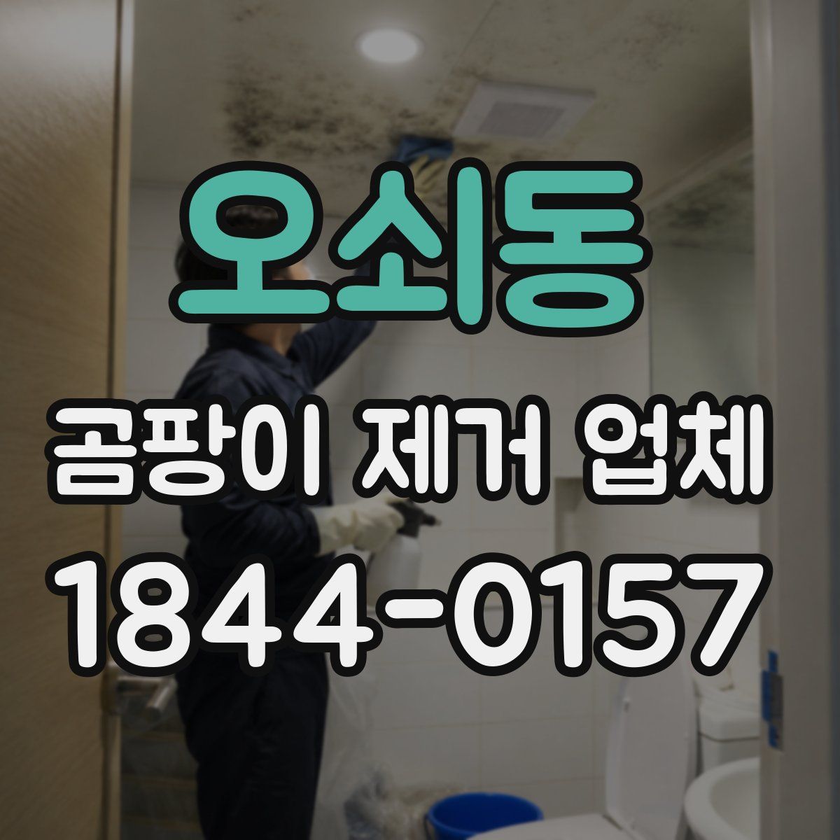 오쇠동 곰팡이 제거 업체