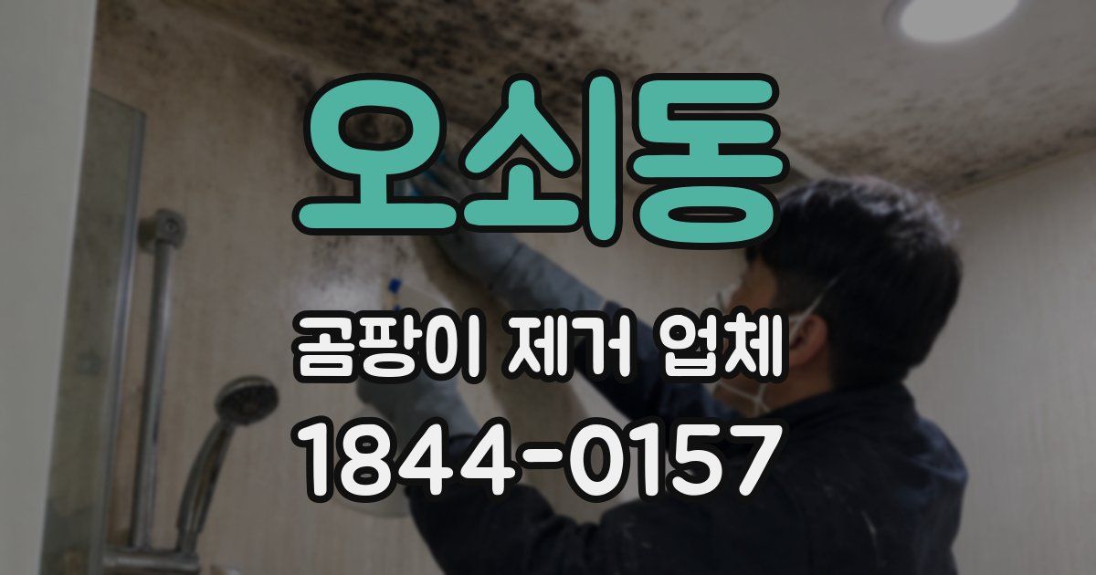 오쇠동 곰팡이 제거 업체
