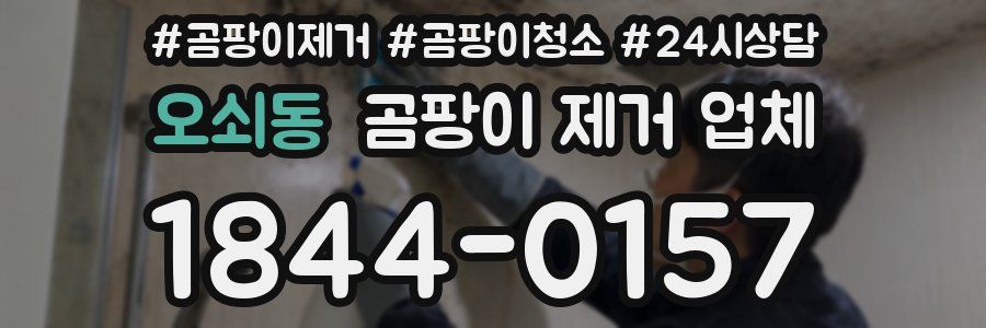 오쇠동 곰팡이 제거 업체
