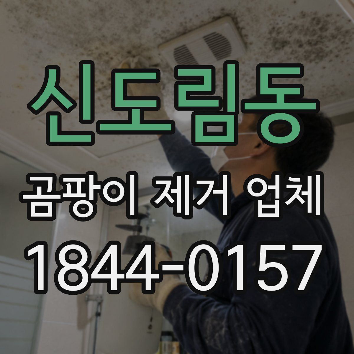 신도림동 곰팡이 제거 업체