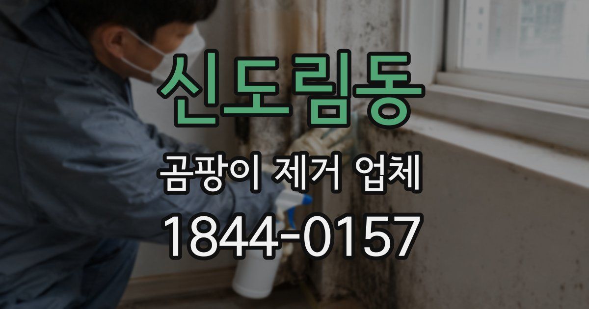 신도림동 곰팡이 제거 업체