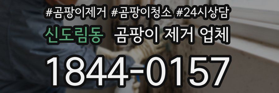 신도림동 곰팡이 제거 업체