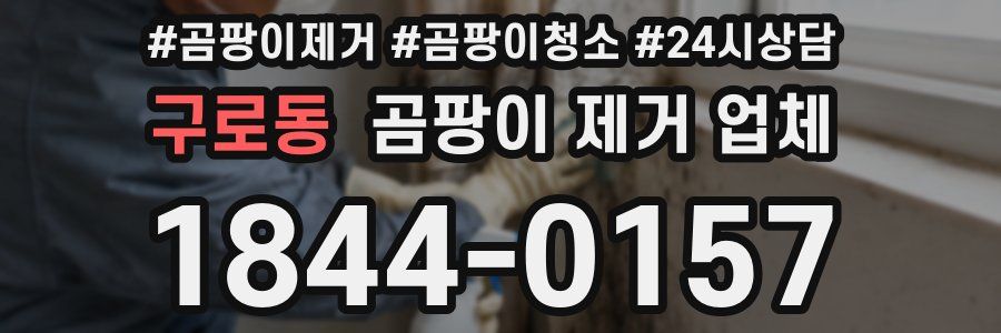 구로동 곰팡이 제거 업체