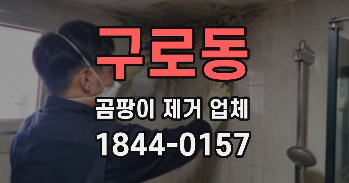 구로동 곰팡이 제거 업체