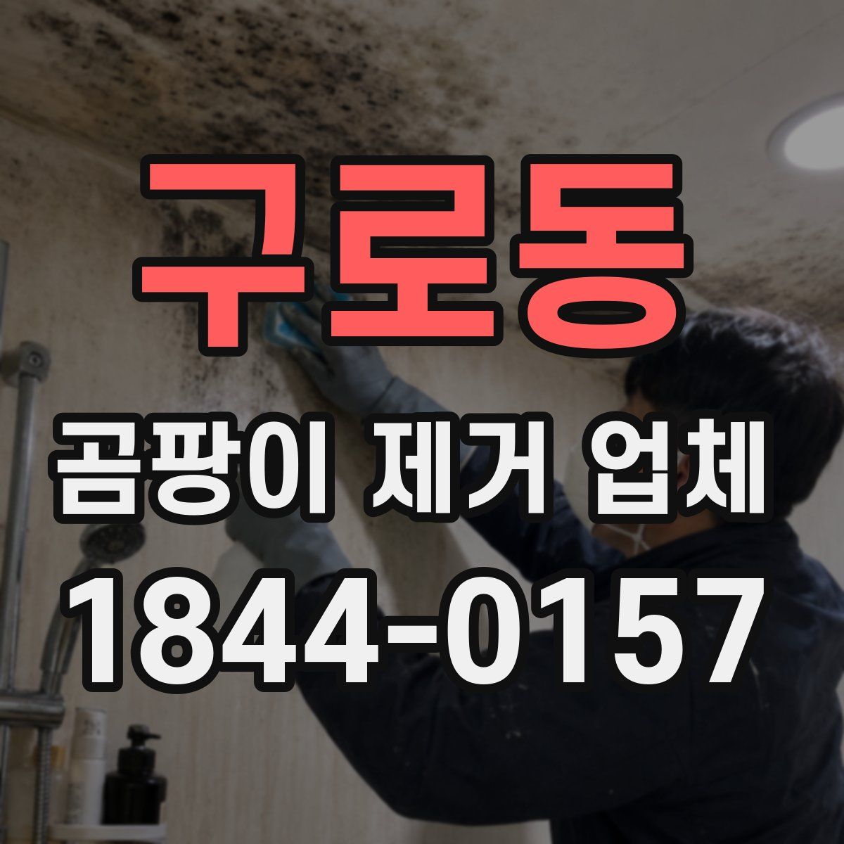 구로동 곰팡이 제거 업체
