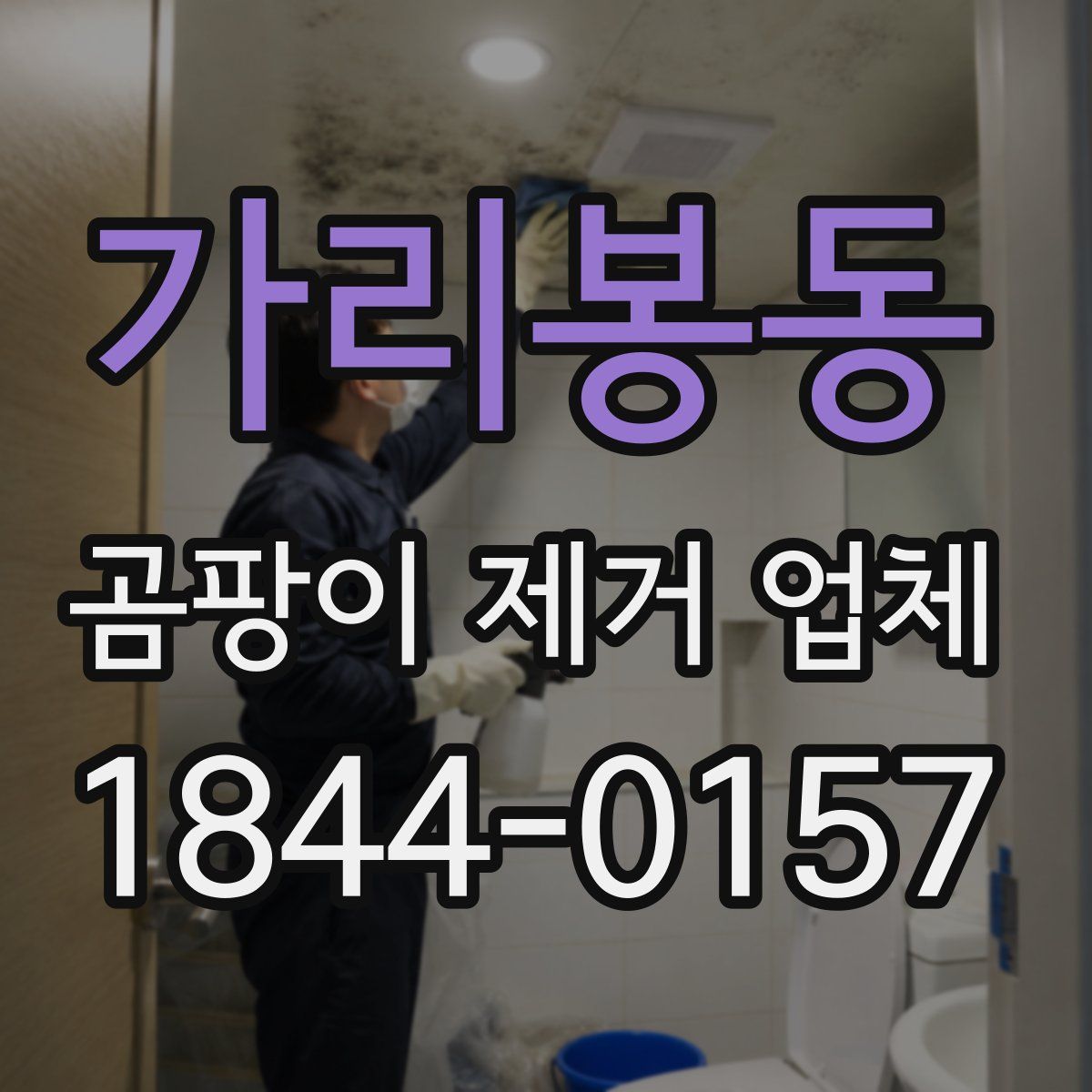 가리봉동 곰팡이 제거 업체