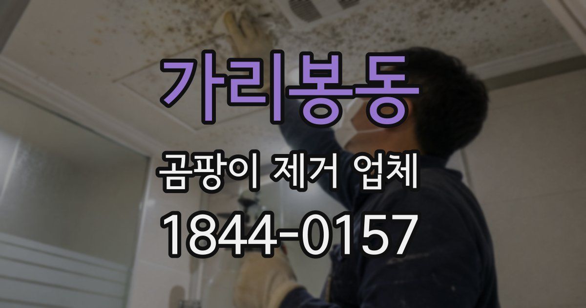 가리봉동 곰팡이 제거 업체