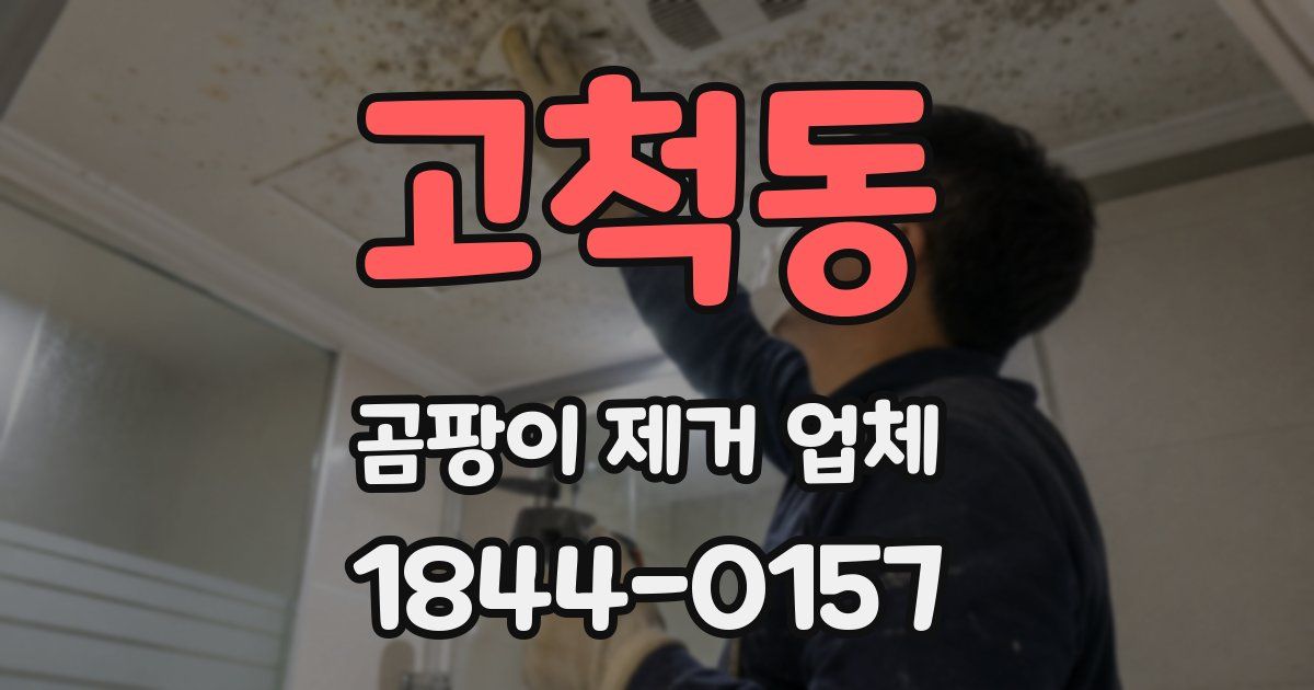 고척동 곰팡이 제거 업체