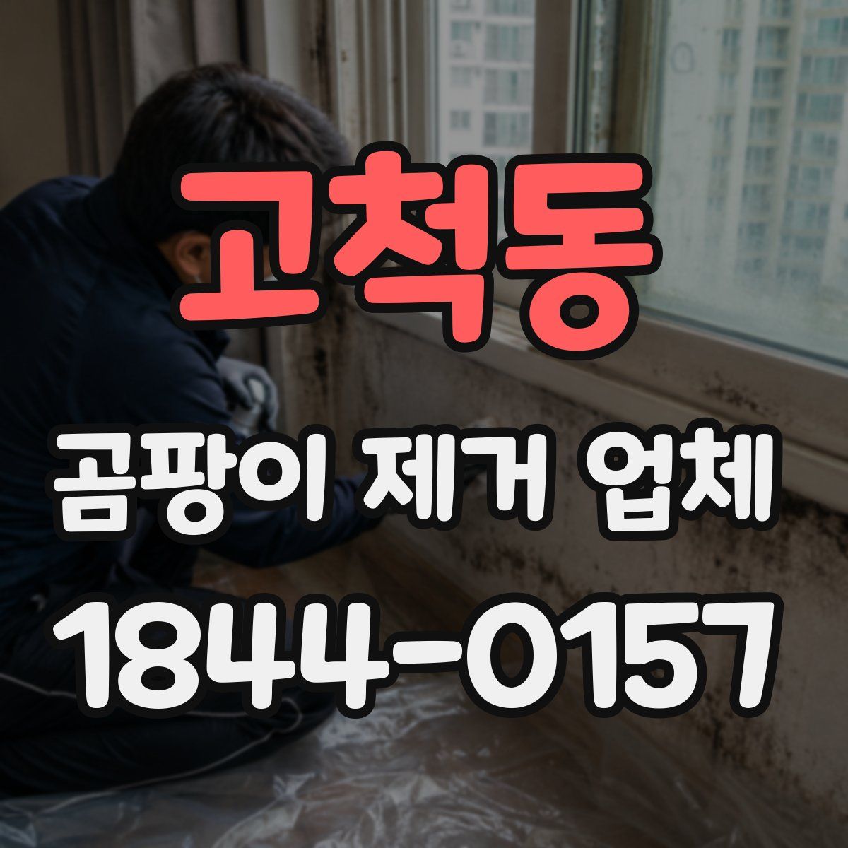 고척동 곰팡이 제거 업체