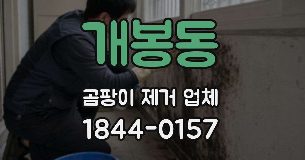 개봉동 곰팡이 제거 업체