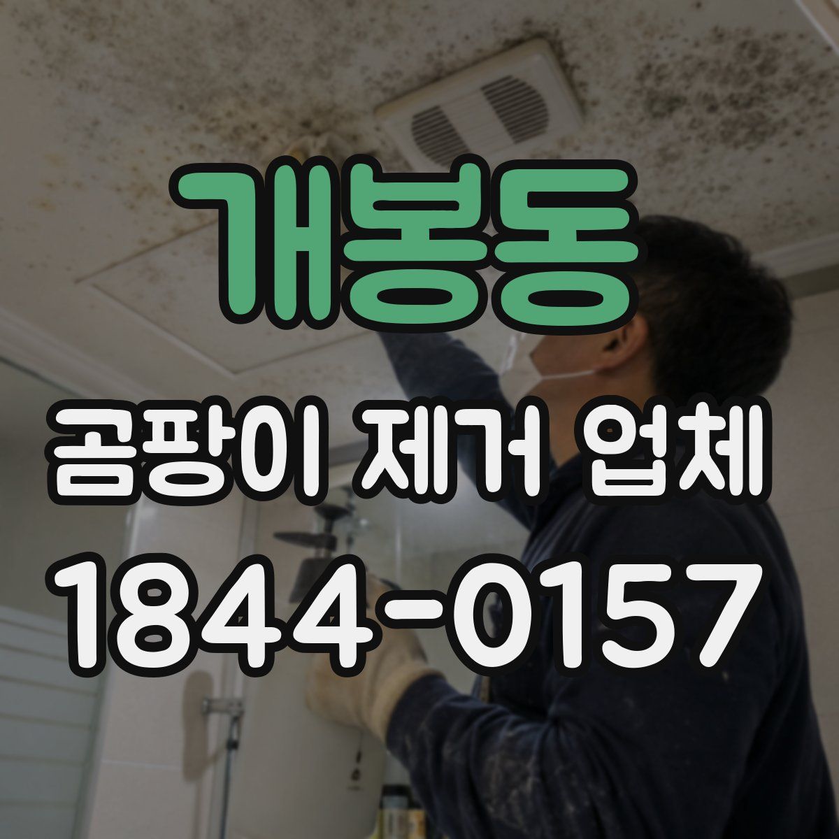 개봉동 곰팡이 제거 업체