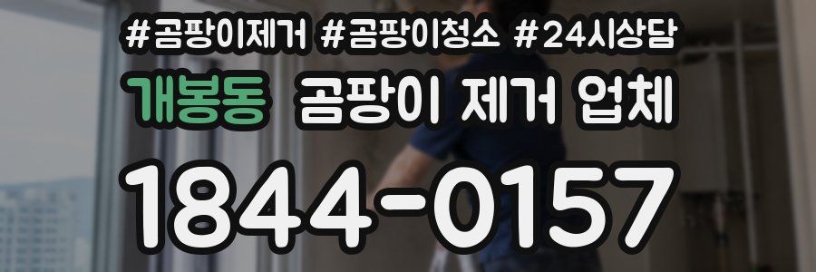 개봉동 곰팡이 제거 업체