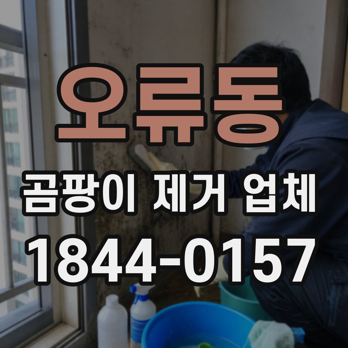 오류동 곰팡이 제거 업체