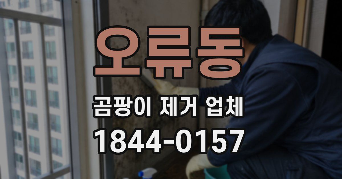 오류동 곰팡이 제거 업체
