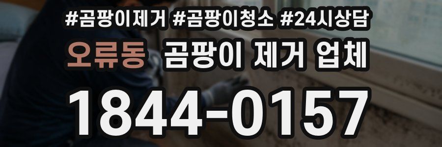 오류동 곰팡이 제거 업체