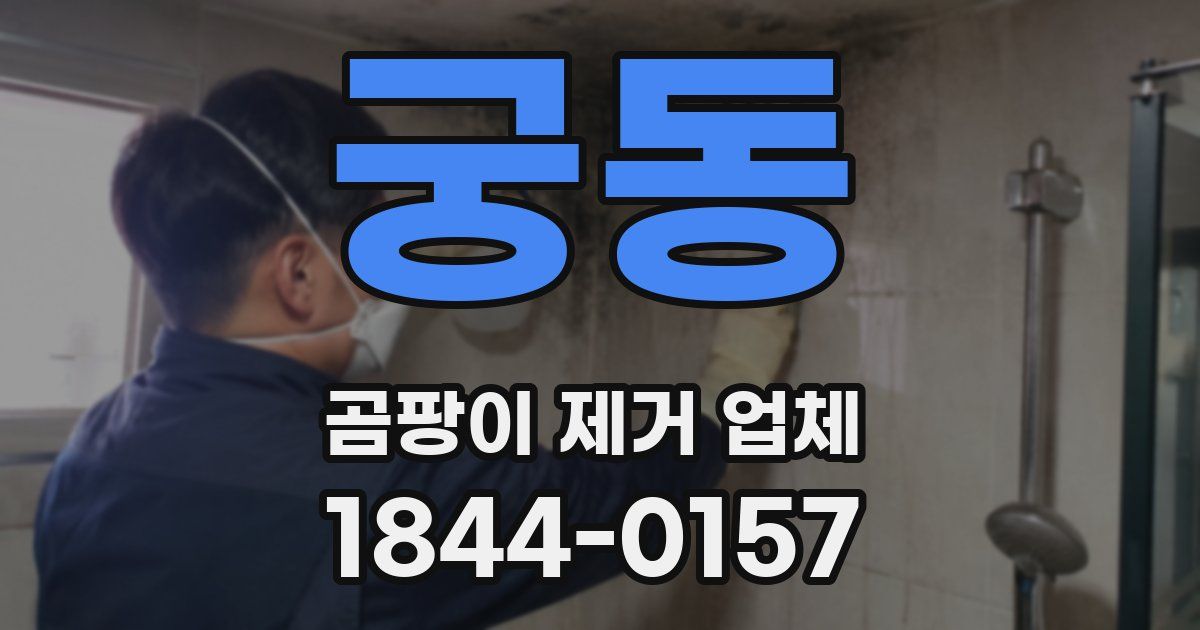 궁동 곰팡이 제거 업체