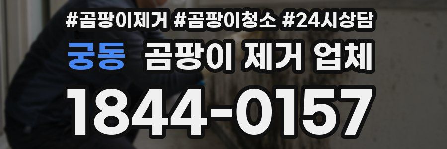 궁동 곰팡이 제거 업체