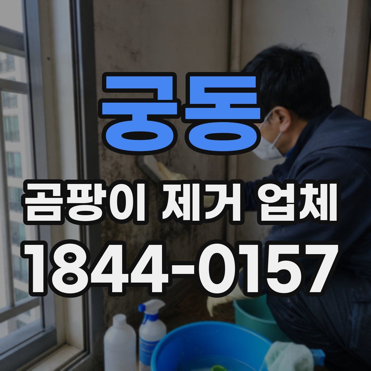 궁동 곰팡이 제거 업체