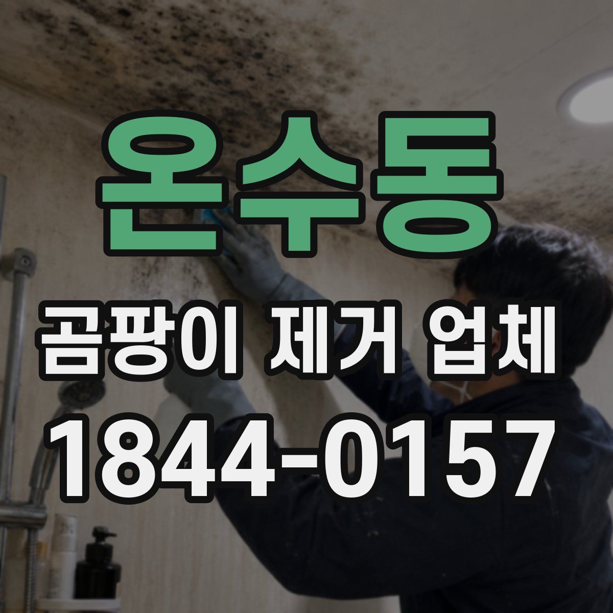 온수동 곰팡이 제거 업체