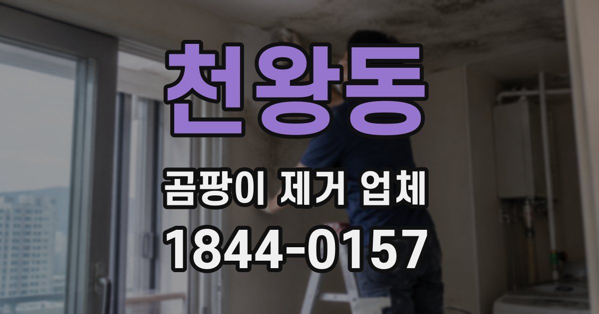 천왕동 곰팡이 제거 업체