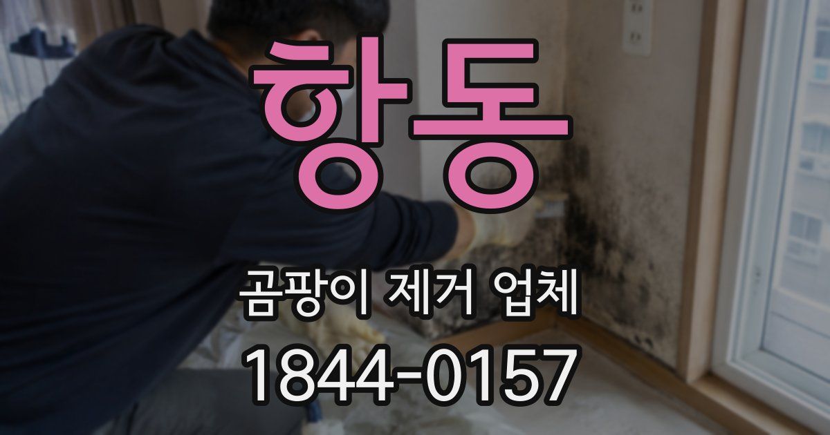 항동 곰팡이 제거 업체