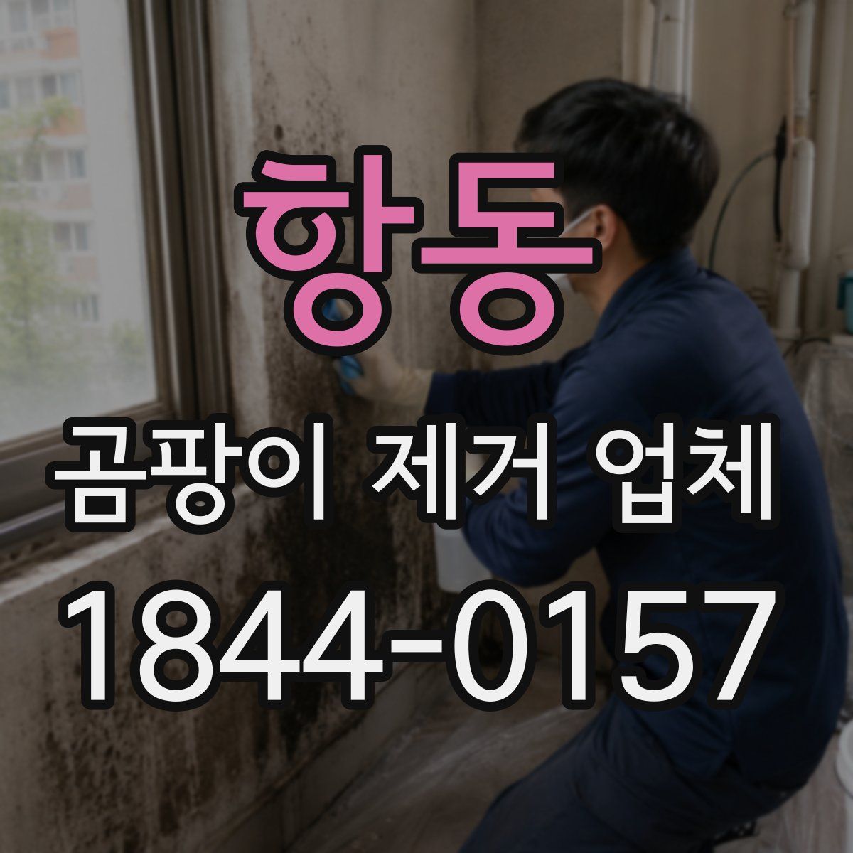 항동 곰팡이 제거 업체