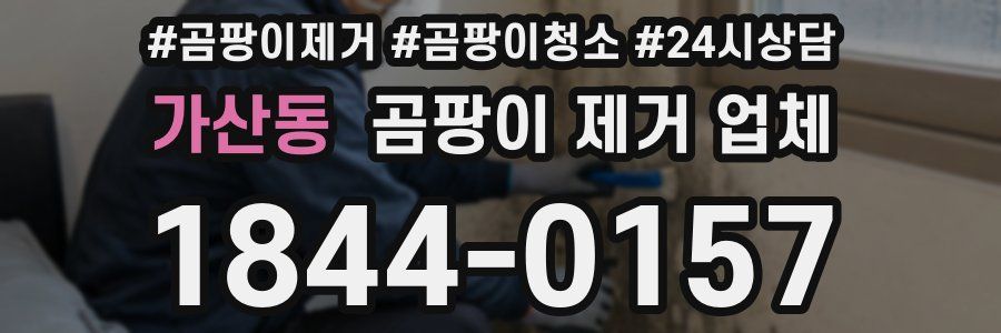 가산동 곰팡이 제거 업체