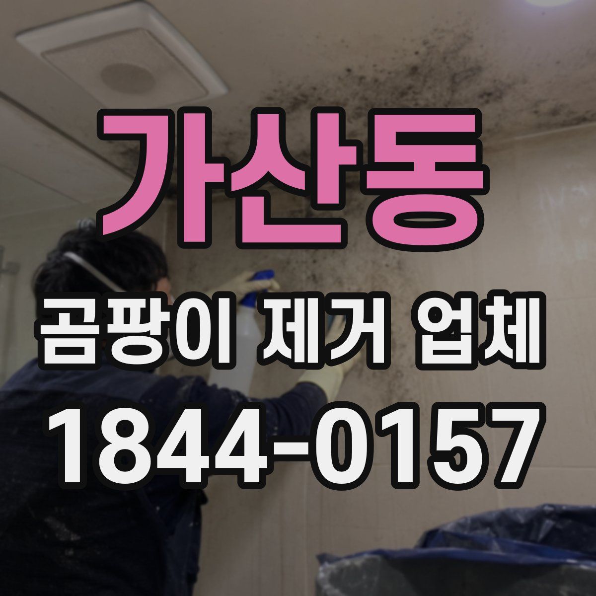 가산동 곰팡이 제거 업체