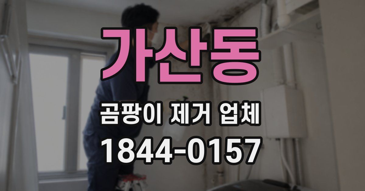 가산동 곰팡이 제거 업체