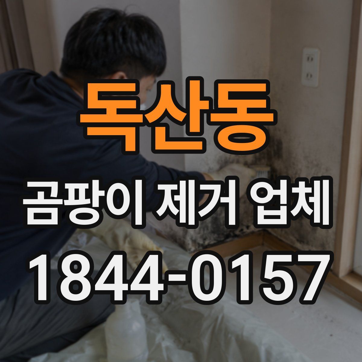 독산동 곰팡이 제거 업체