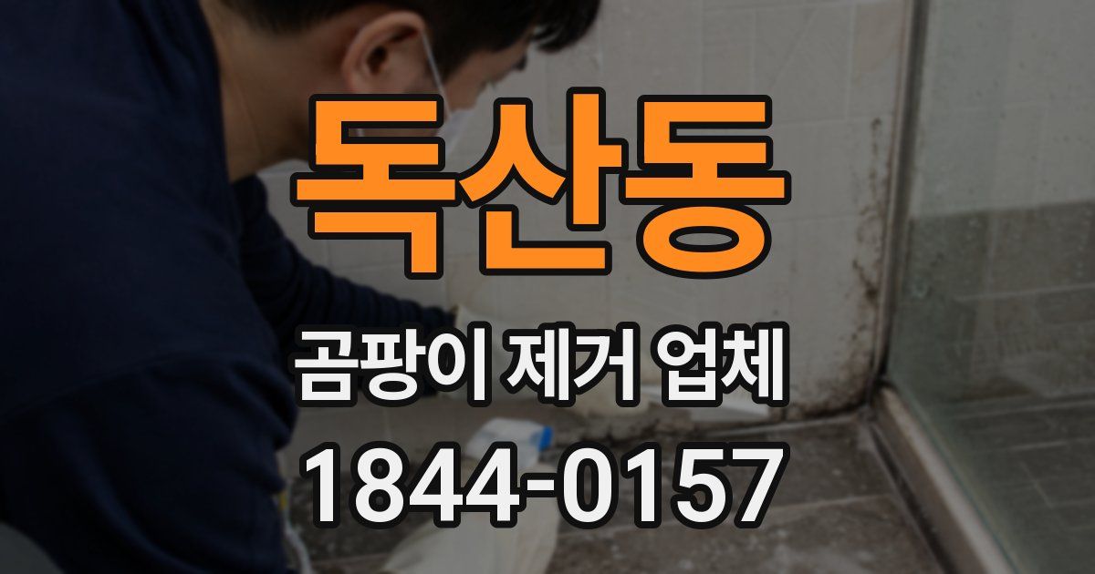 독산동 곰팡이 제거 업체