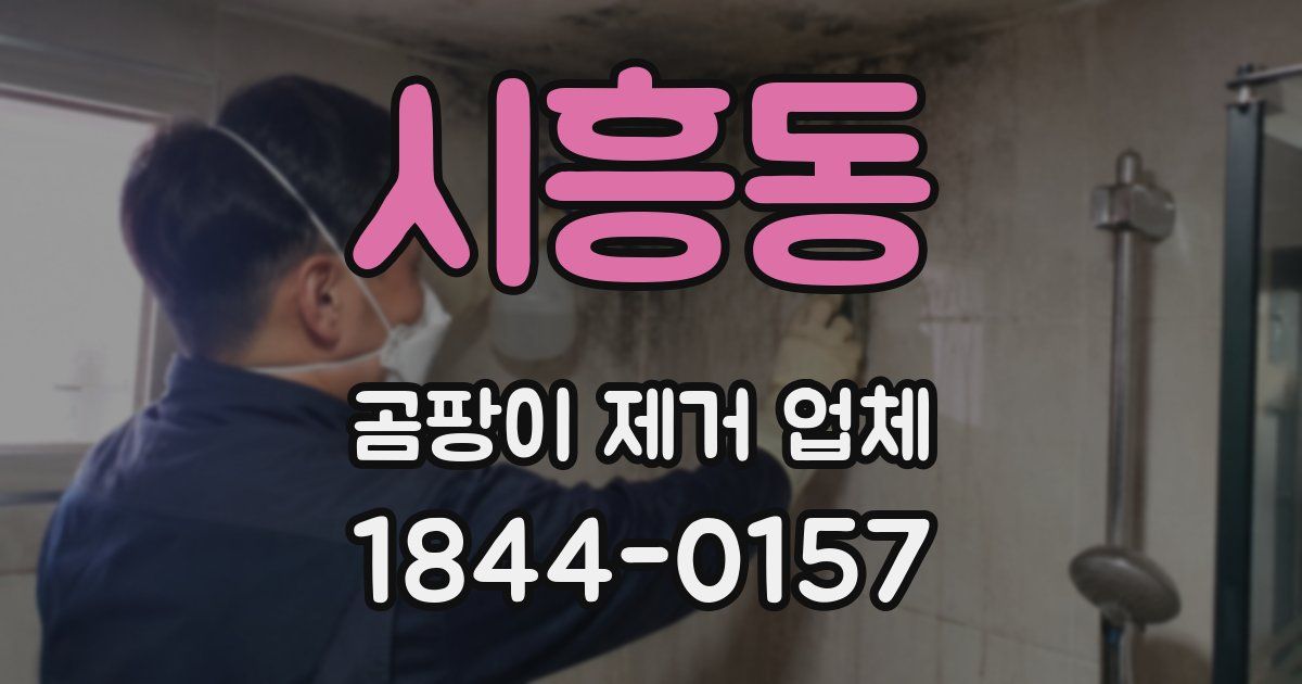 시흥동 곰팡이 제거 업체