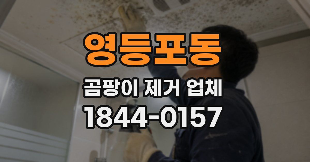 영등포동 곰팡이 제거 업체