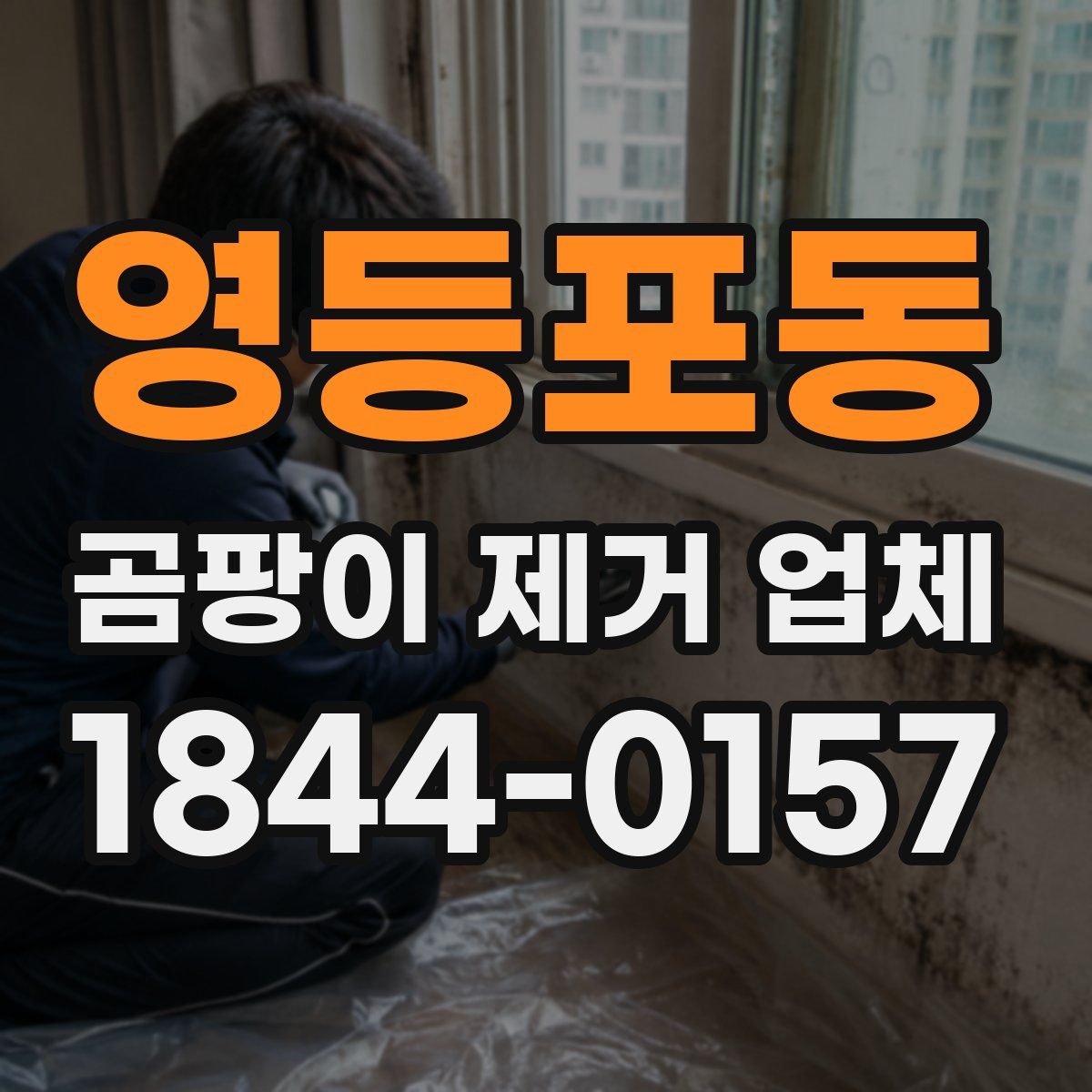영등포동 곰팡이 제거 업체