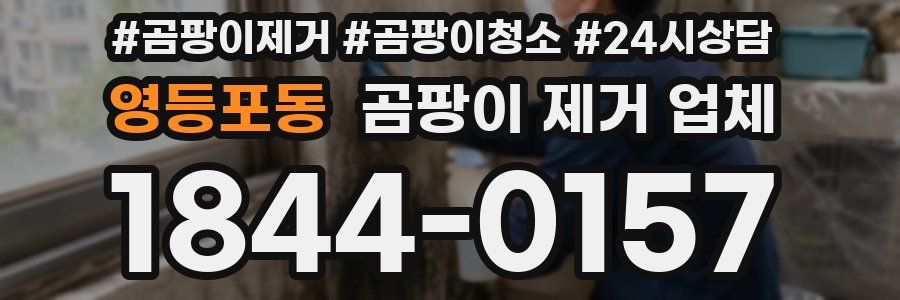 영등포동 곰팡이 제거 업체