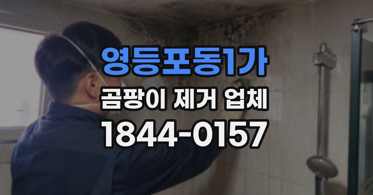 영등포동1가 곰팡이 제거 업체