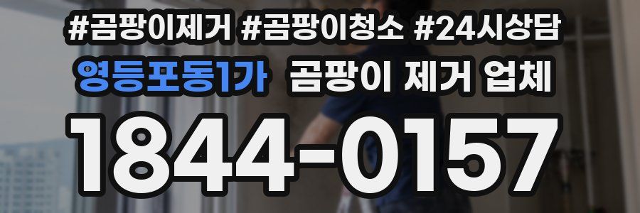영등포동1가 곰팡이 제거 업체