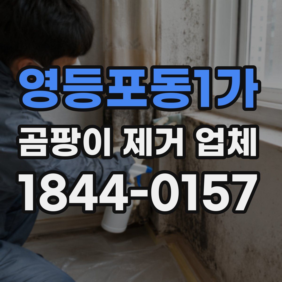 영등포동1가 곰팡이 제거 업체