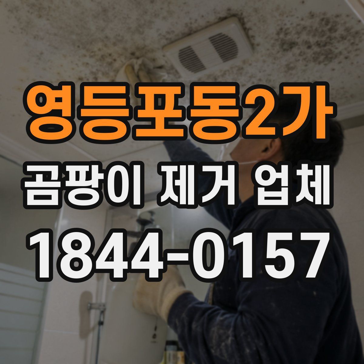 영등포동2가 곰팡이 제거 업체