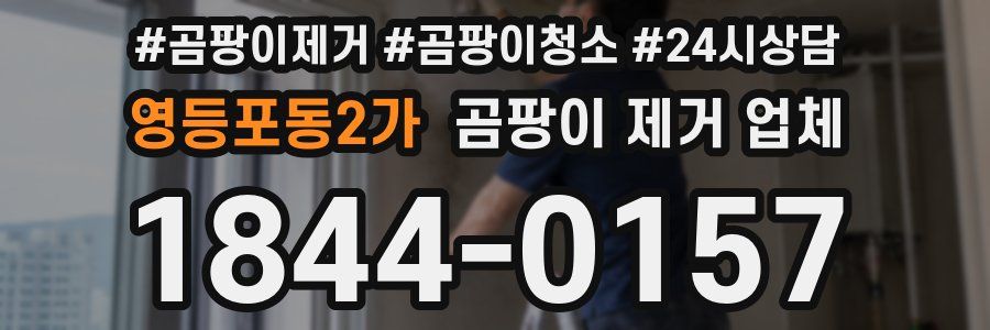 영등포동2가 곰팡이 제거 업체