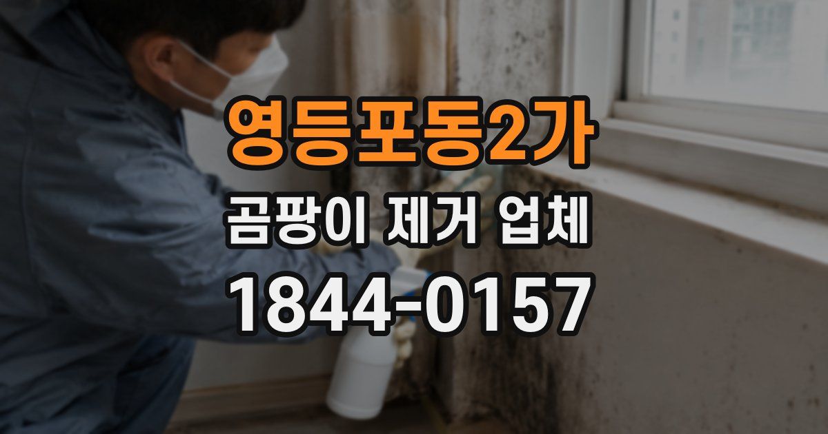 영등포동2가 곰팡이 제거 업체