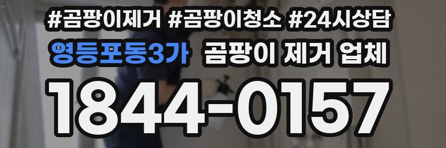 영등포동3가 곰팡이 제거 업체