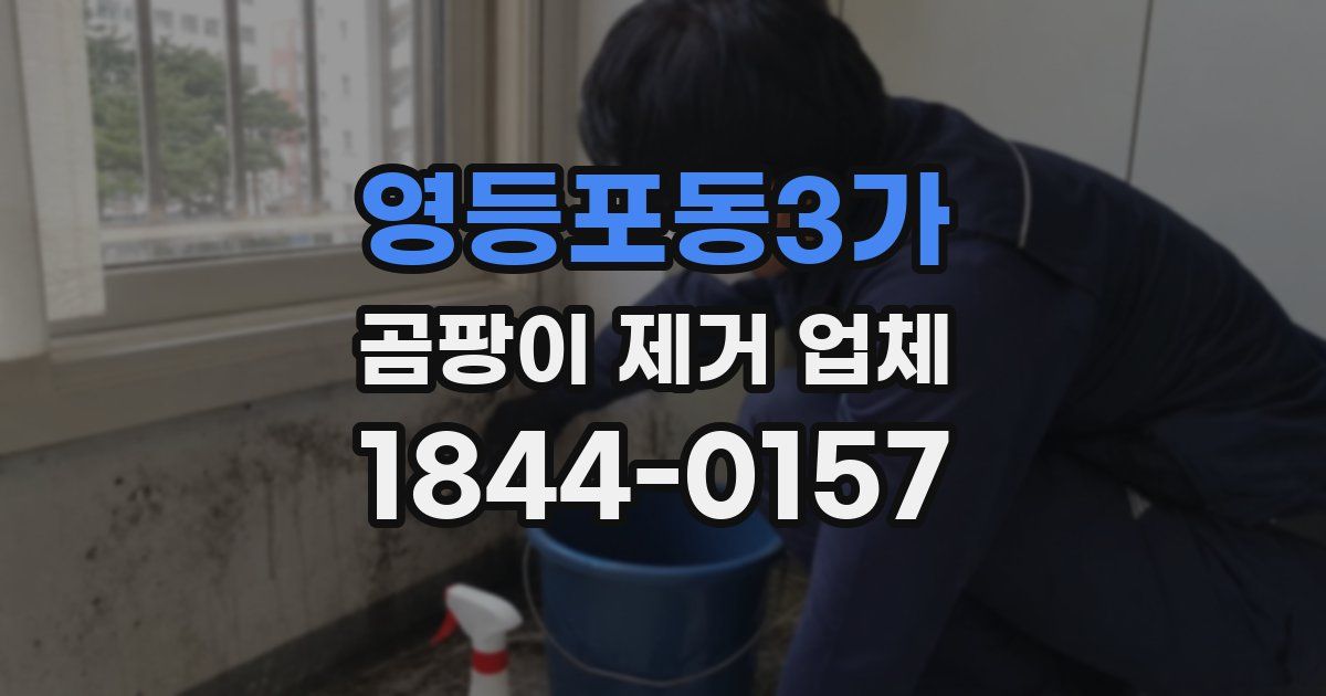 영등포동3가 곰팡이 제거 업체