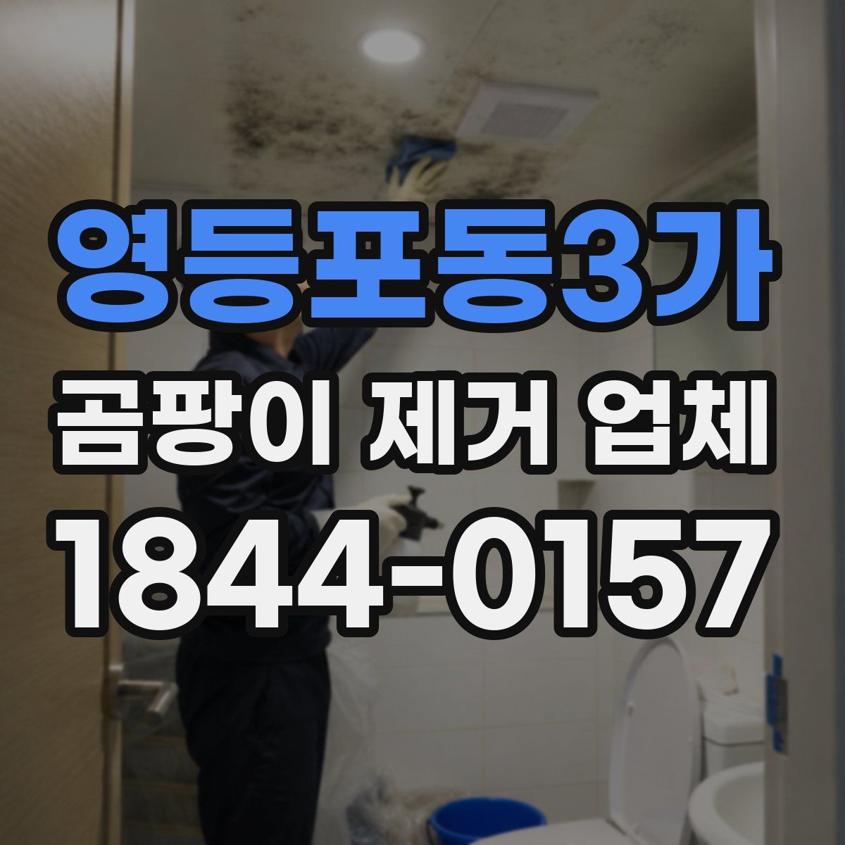 영등포동3가 곰팡이 제거 업체