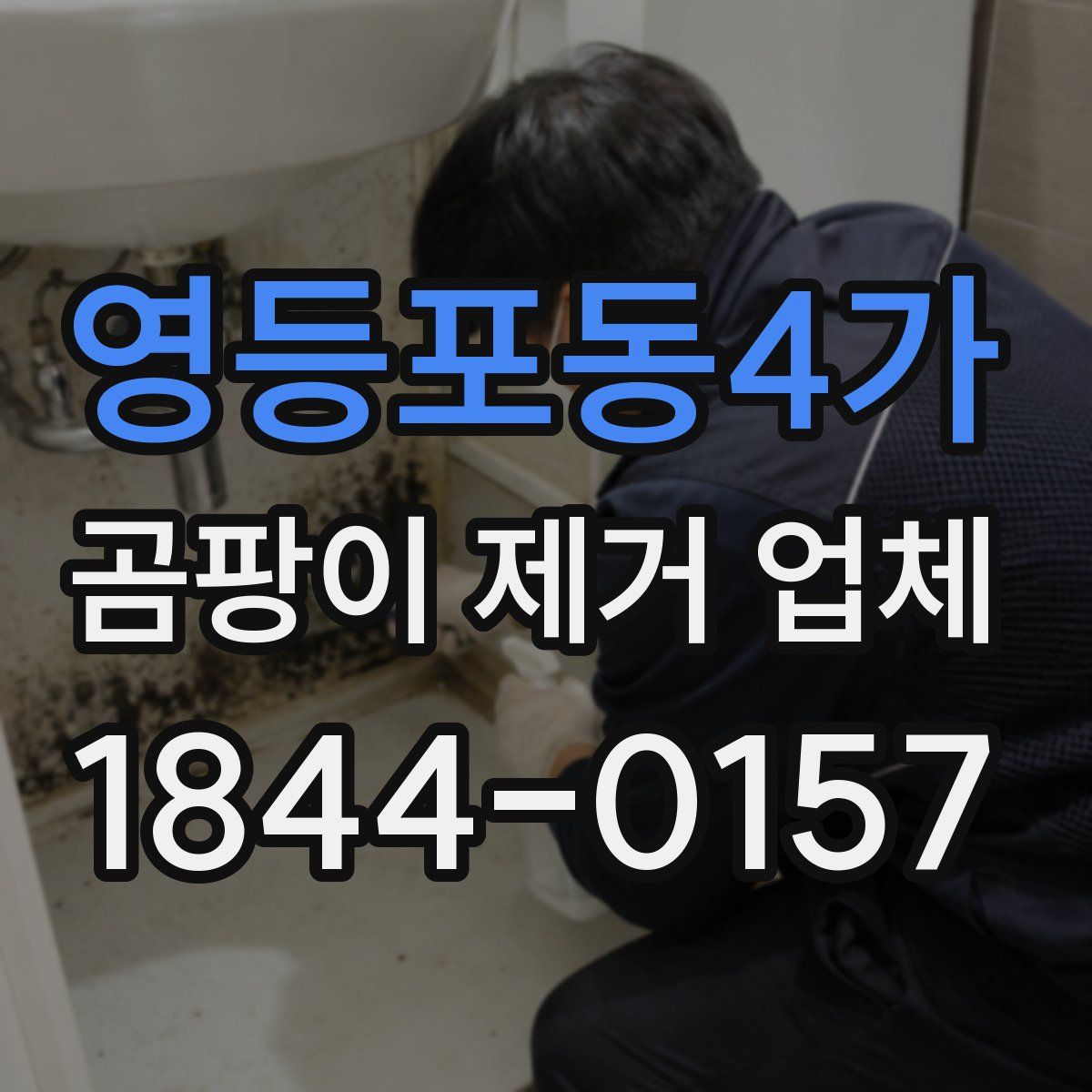 영등포동4가 곰팡이 제거 업체